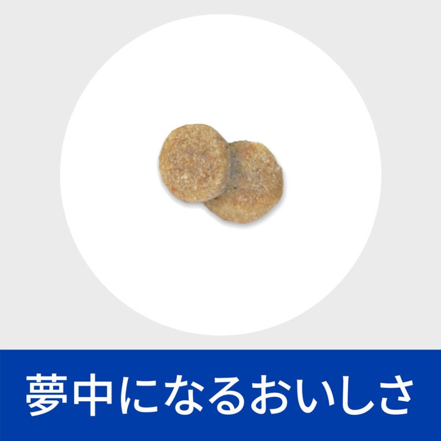 【2袋セット】ヒルズ 食事療法食 犬用 k/d ケーディー 腎臓ケア ドライ 1kg｜petgo-3rd｜05