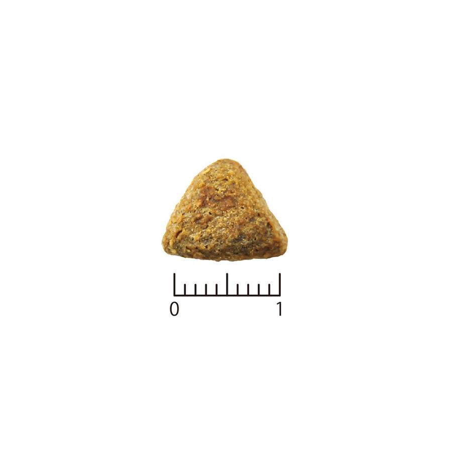 特価★ベッツソリューション　肥満サポート 犬 ２ｋｇ/４００ｇ×５★ ベッツソリューション 食事療法食 犬用 肥満サポート 2kg 【後継商品