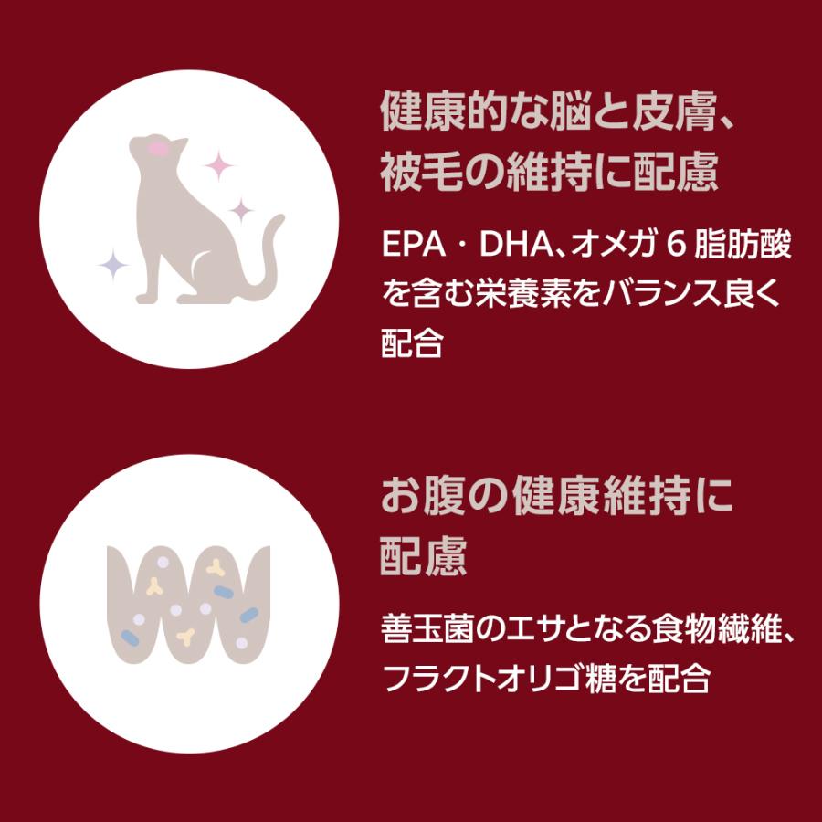ベッツワンプレミアム 毎日の健康維持 成猫用 インドア チキン 500g×12袋【ケース販売】_2