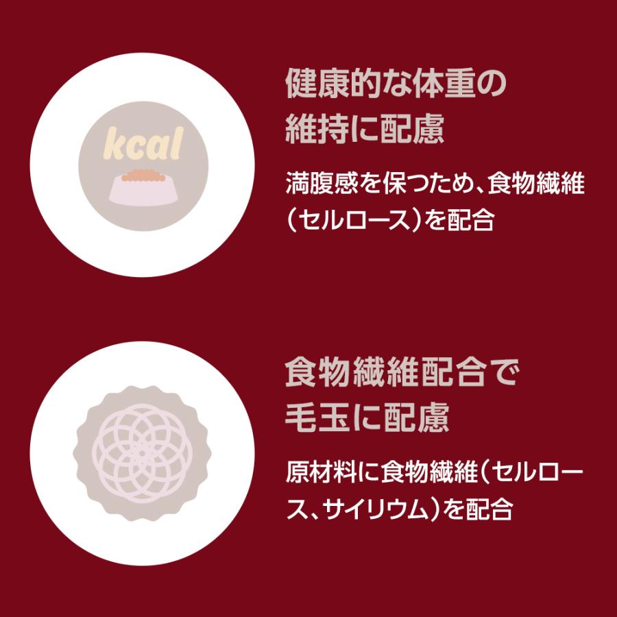 ベッツワンプレミアム 毎日の健康維持 成猫用 インドア チキン 500g×12袋【ケース販売】_3