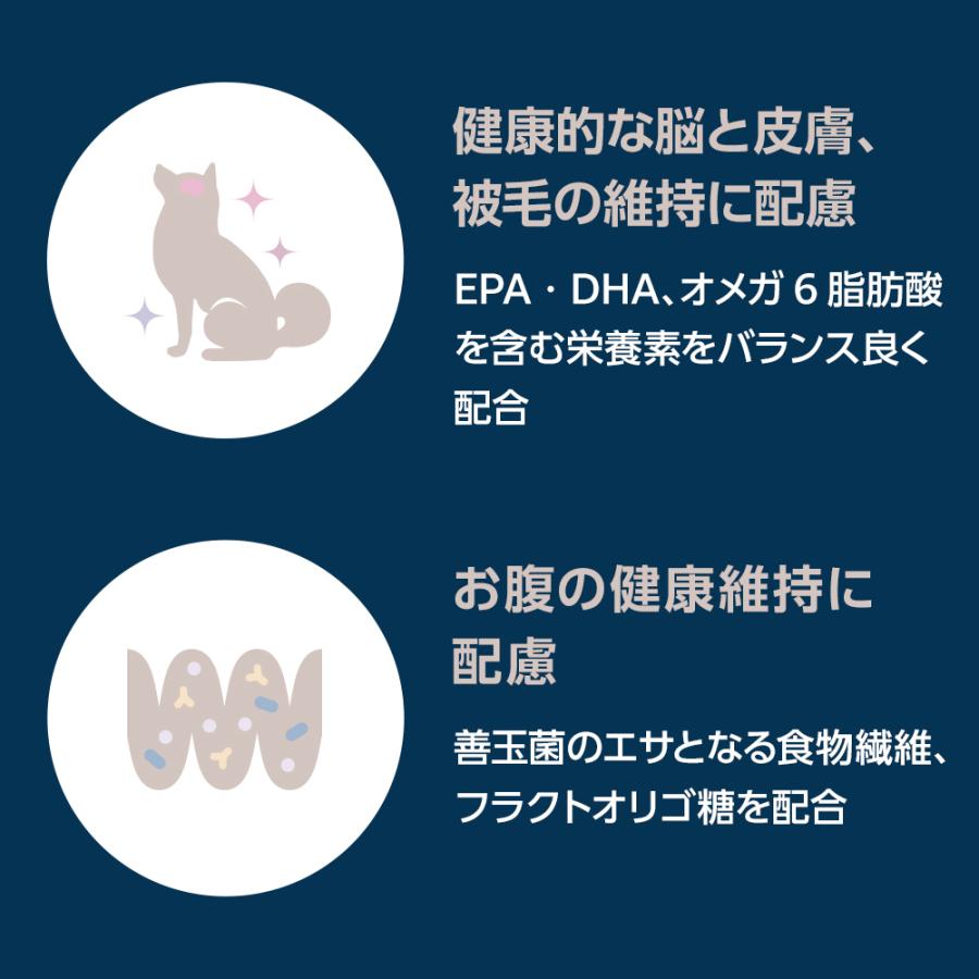 ベッツワンプレミアム - 日毎夜毎の思わしい保護すること 小型成犬用 意気地無し 微粒子 1kg×12袋【容れもの売りわたす】