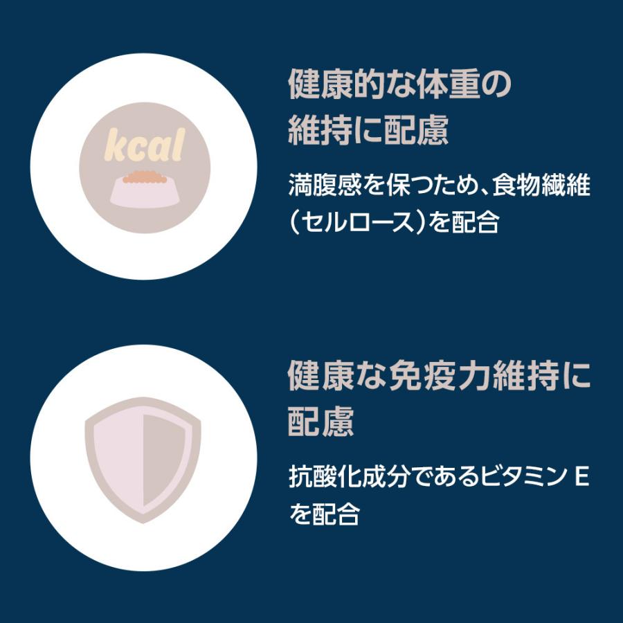 ベッツワンプレミアム - 日毎夜毎の思わしい保護すること 小型成犬用 意気地無し 微粒子 1kg×12袋【容れもの売りわたす】