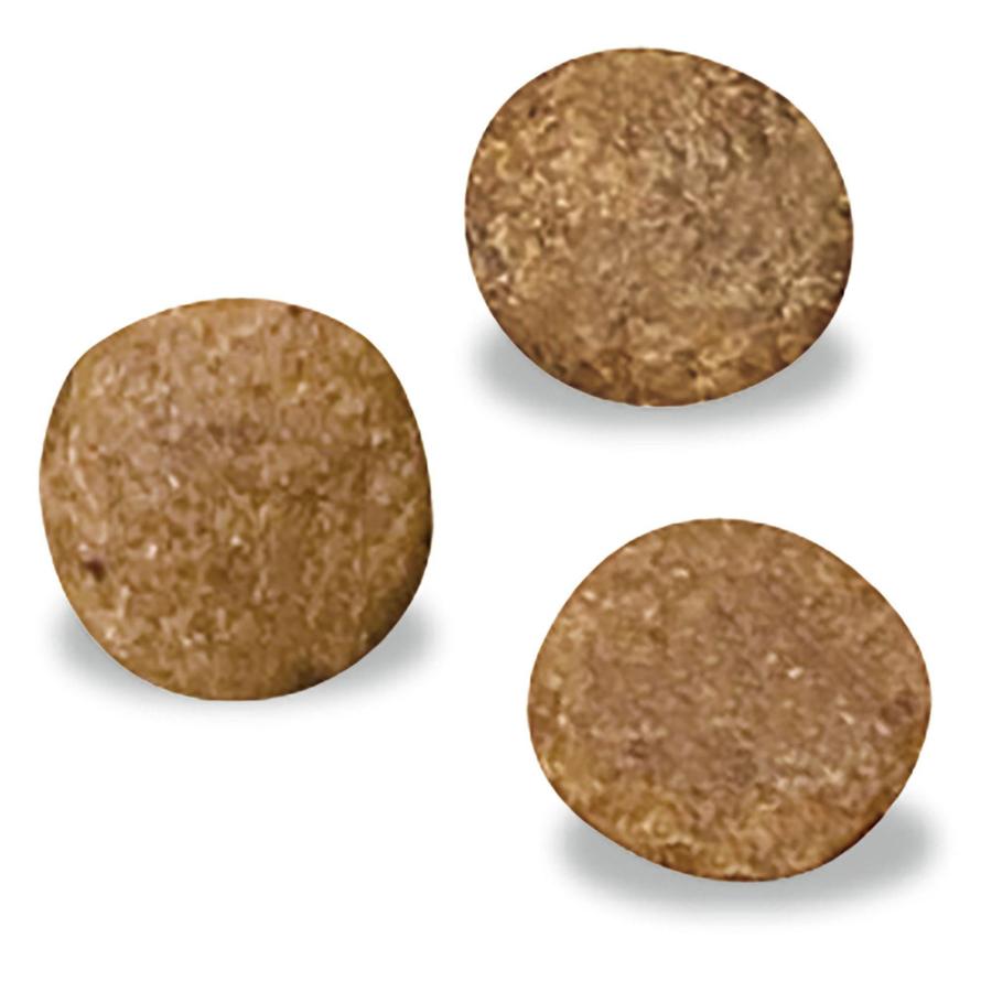 ベッツウェル 食事療法食 犬用 食物アレルギーケア フィッシュ＆ポテト