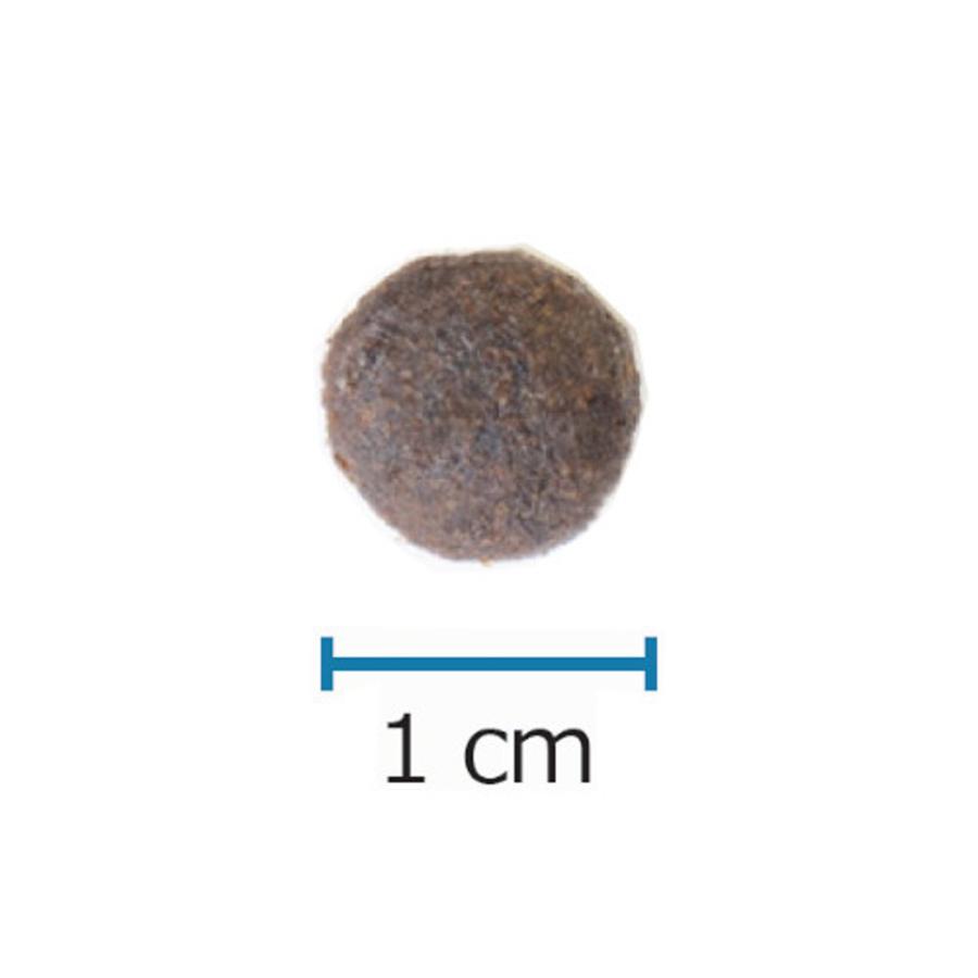 アレヴァ・ケア 食事療法食 犬用 体重・糖質ケア 5kg アレヴァ