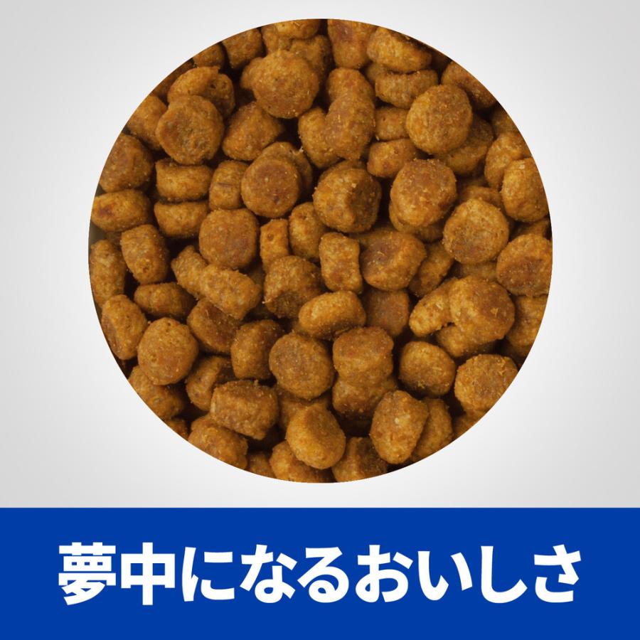 市場 ヒルズ マルチケア 犬用 療法食 エサ d 尿ケア 3kg ごはん c 食事 小粒 ドッグフード 1袋 市場 ヒルズ マルチケア 犬用 療法食 エサ d 尿ケア 3kg ごはん c 食事 小粒 ドッグフード 1袋