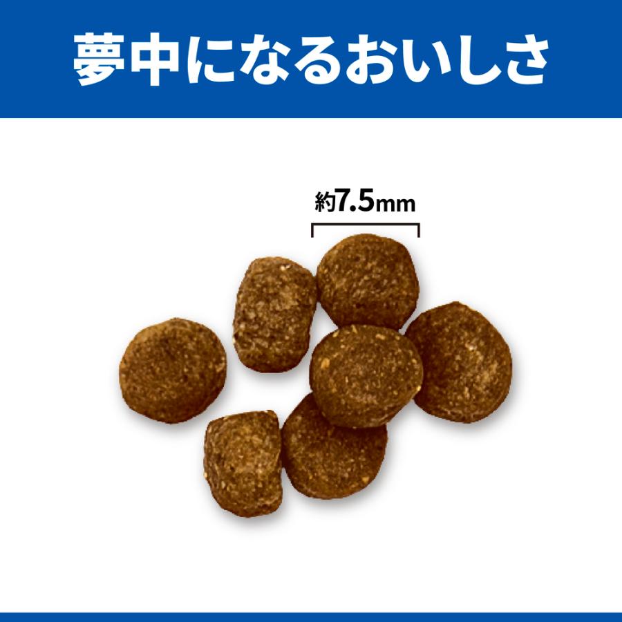 ヒルズサイエンス　ダイエット　シニア6歳以上　12㎏ ヒルズ サイエンスダイエット ドッグフード 大型犬用 シニア 6歳