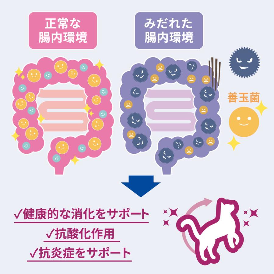 みきぽん様　サイエンスダイエット　腸の健康サポートプラス2.5kg 3袋 サイエンス・ダイエット 【2.5kg×2袋】ヒルズ 腸の健康サポート