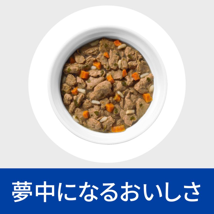 ヒルズ 食事療法食 猫用 c/d マルチケア 尿ケア チキン＆野菜入り 