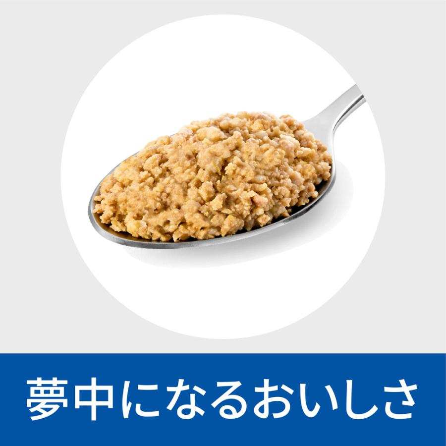 ヒルズ 食事療法食 犬用 c/d シーディー マルチケア 尿ケア 缶 370g×12