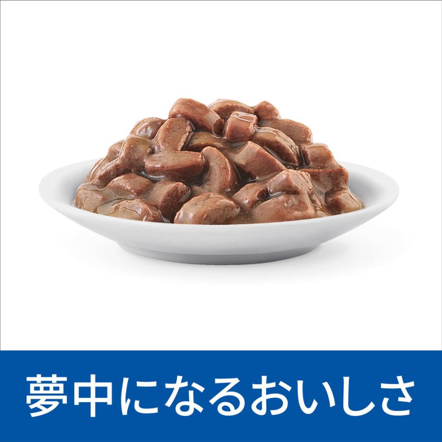 ヒルズ 食事療法食 猫用 メタボリックス 減量＆体重管理 やわらかフィッシュ＆グレイビーソース パウチ 85g×12｜petgo｜03