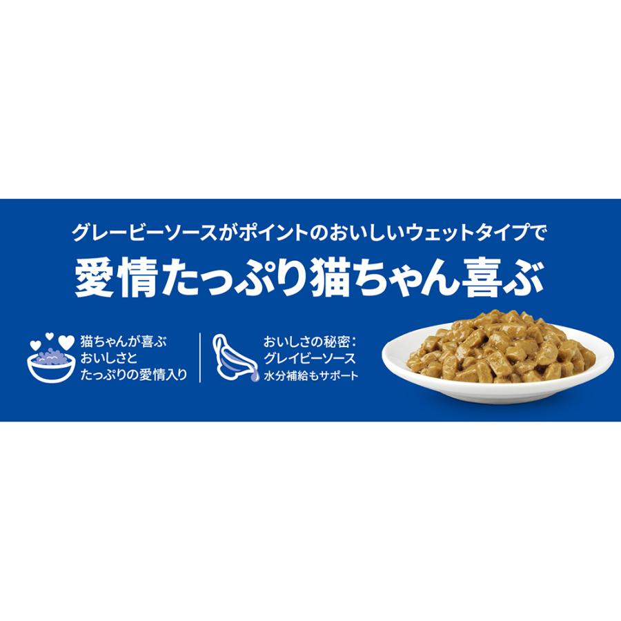 ヒルズ サイエンスダイエット アダルト 猫用 1~6歳 サーモン パウチ