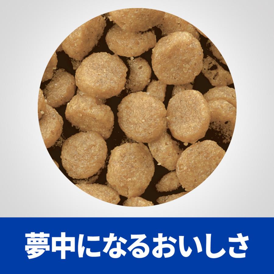 販売は超安いです 3袋セット ヒルズ食事療法食猫用c Dシーディーマルチケア尿ケアフィッシュ入りドライ2kg 猫用品 Www Abtrs Com