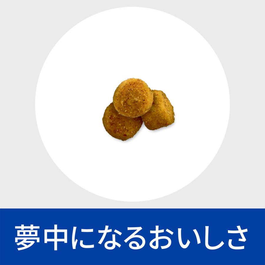 ヒルズ 食事療法食 猫用 y/d ワイディー 甲状腺ケア ドライ 2kg ヒルズ 食事療法食 猫用 y/d ワイディー 甲状腺ケア ドライ 2kg