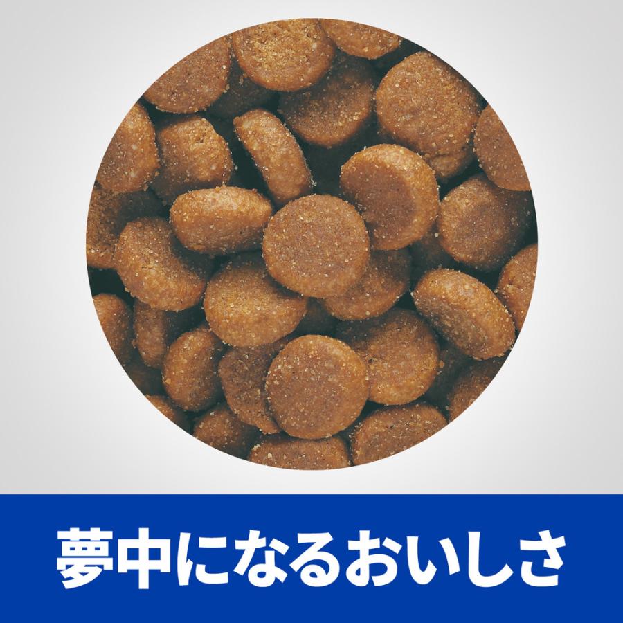 ヒルズ 猫用 Z D 低アレルゲン 食物アレルギー 皮膚ケア ドライ 2kg ペットゴー ヤフー店 通販 Yahoo ショッピング