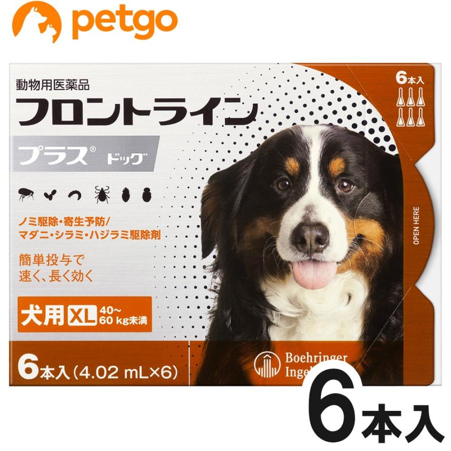 犬用フロントラインプラスドッグXL 40kg〜60kg 6本（6ピペット）（動物用医薬品）｜petgo