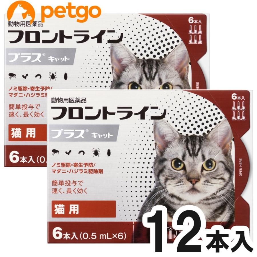 2箱セット 猫用フロントラインプラスキャット 6本 6ピペット 動物用医薬品 ペットゴー ヤフー店 通販 Yahoo ショッピング