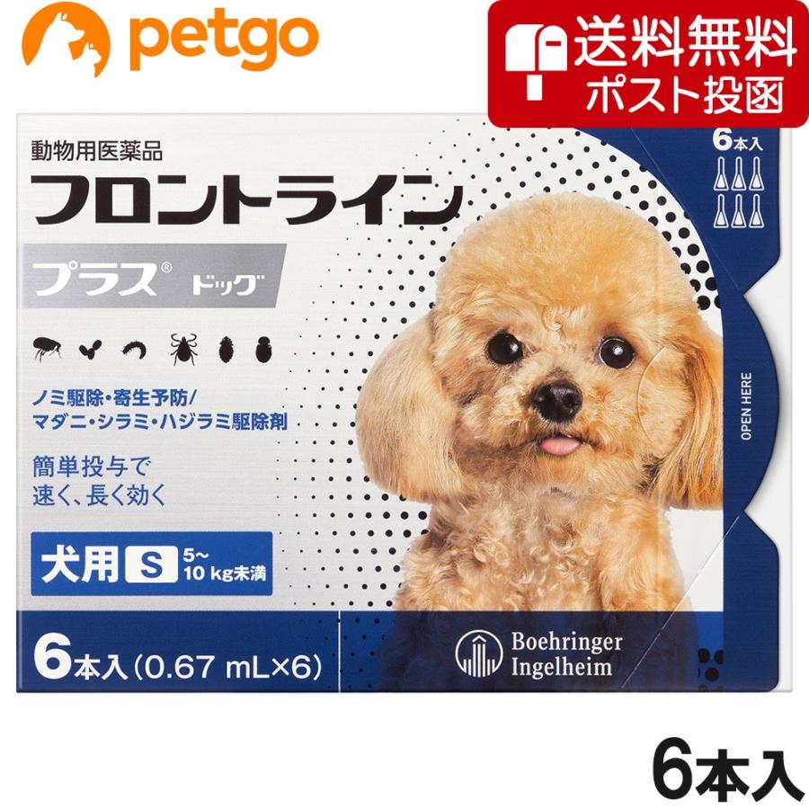 【ネコポス(同梱不可)】犬用フロントラインプラスドッグS 5〜10kg 6本（6ピペット）（動物用医薬品）｜petgo