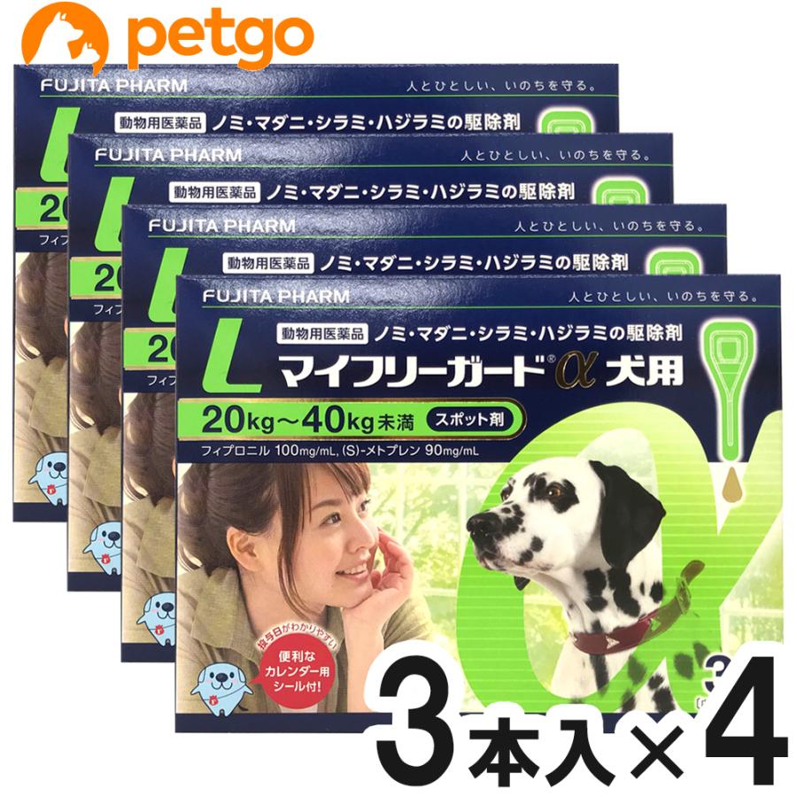 入園入学祝い 4箱セット マイフリーガードa 犬用 L 40kg 3本 動物用医薬品 Originaljustturkey Com