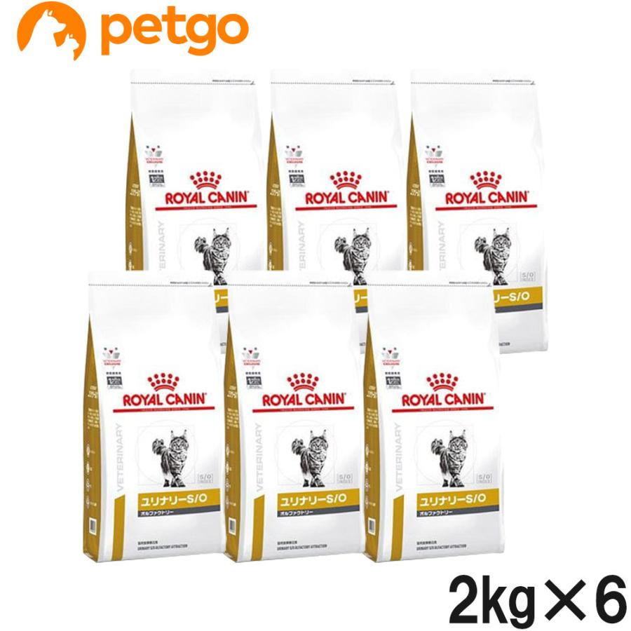  CANIN ユリナリーS/O オルファクトリー 2kg ✖︎6袋 Amazon | ロイヤルカナン 猫 キャットフード ユリナリー S/O