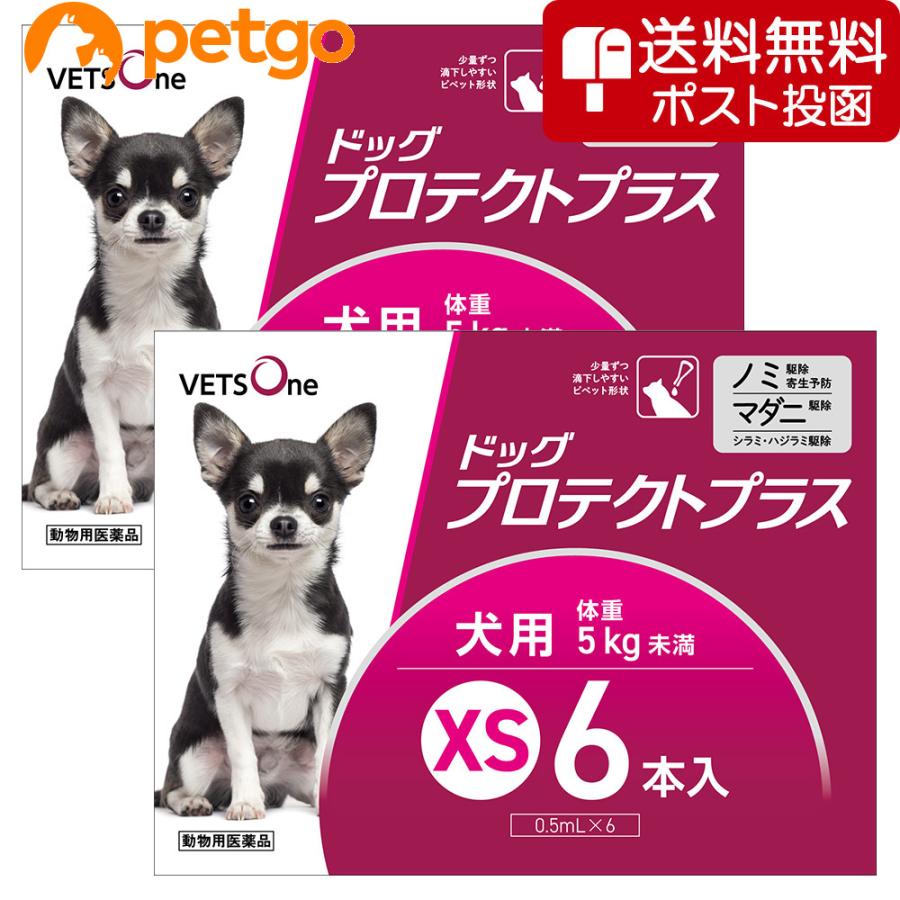 【ネコポス(同梱不可)】【2箱セット】ベッツワン ドッグプロテクトプラス 犬用 XS 5kg未満 6本 (動物用医薬品) | プロテクトプラス