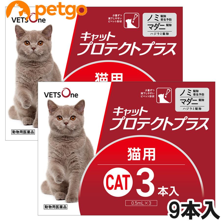 1242円 選択 ベッツワン キャットプロテクトプラス 猫用 9本 動物用医薬品