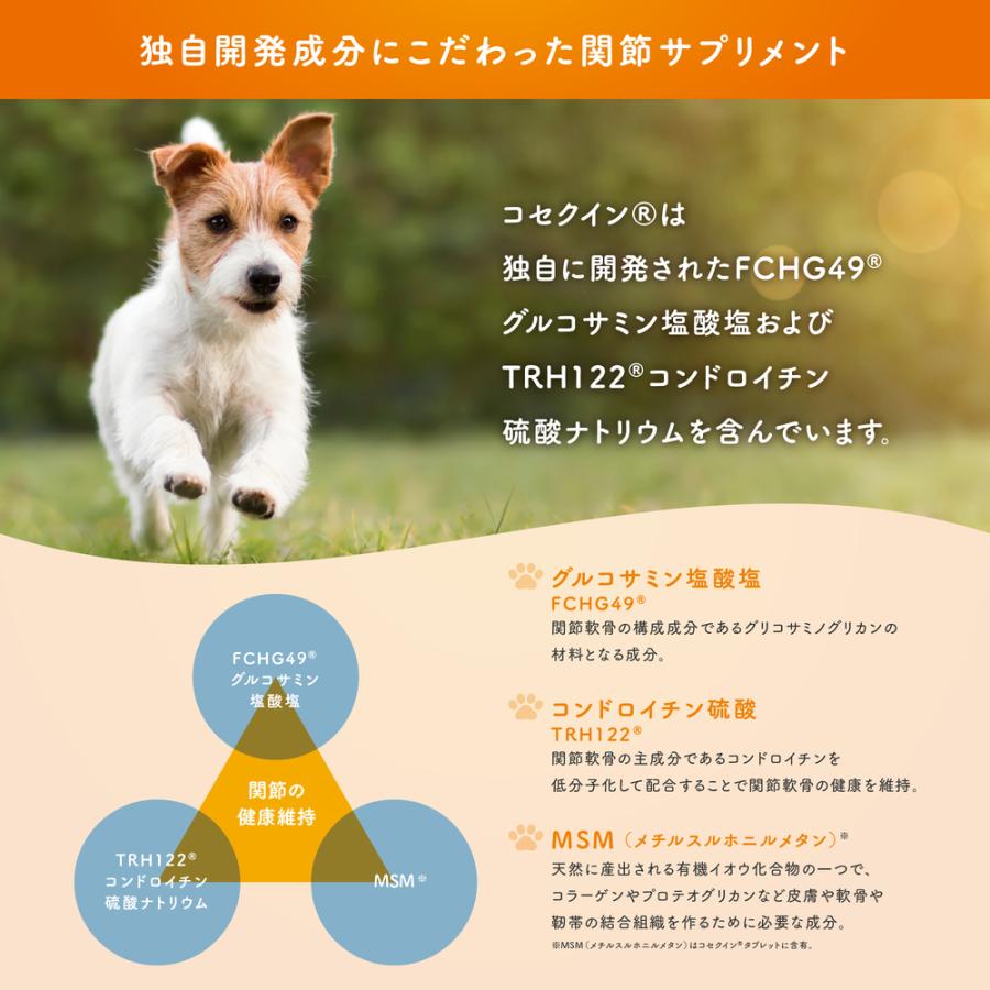 コセクイン　45カプセル×2 2個セット】コセクイン パウダーイン 45カプセル : ペットゴー