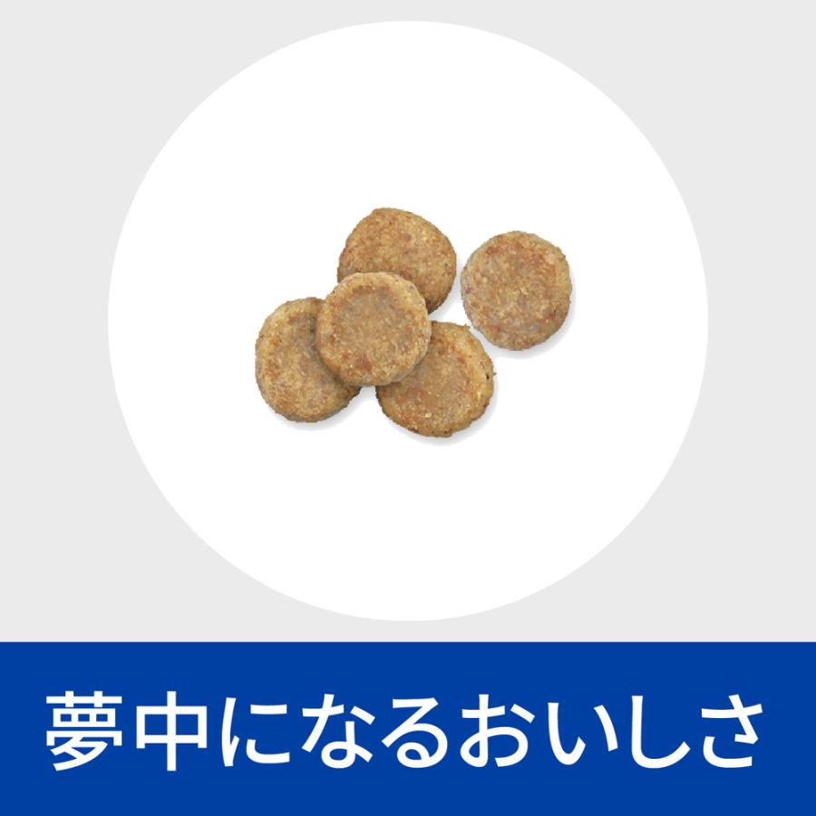 ヒルズ 食事療法食 犬用 i/d アイディー コンフォート 消化ケア ドライ 小粒 3kg｜petgo｜05