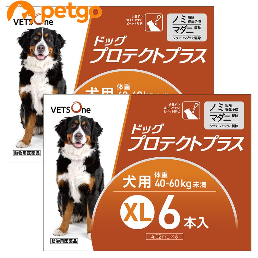 【2箱セット】ベッツワン ドッグプロテクトプラス 犬用 XL 40kg〜60kg未満 6本 (動物用医薬品) | プロテクトプラス