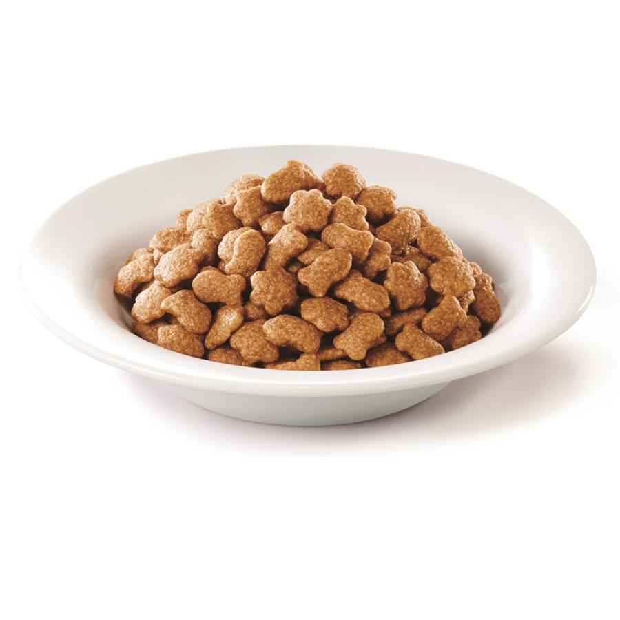 PURINA モンプチ バッグ ドライ15歳 5種のブレンド 600g×4個