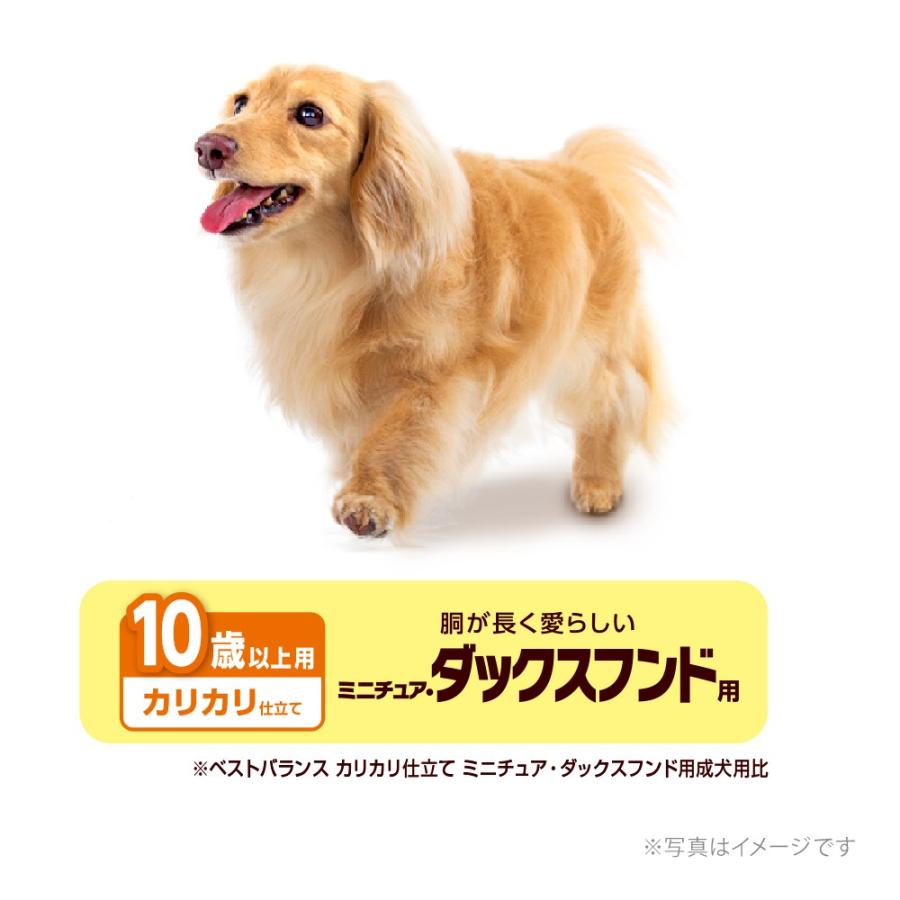 ベストバランス カリカリ仕立て ミニチュアダックスフンド用 10