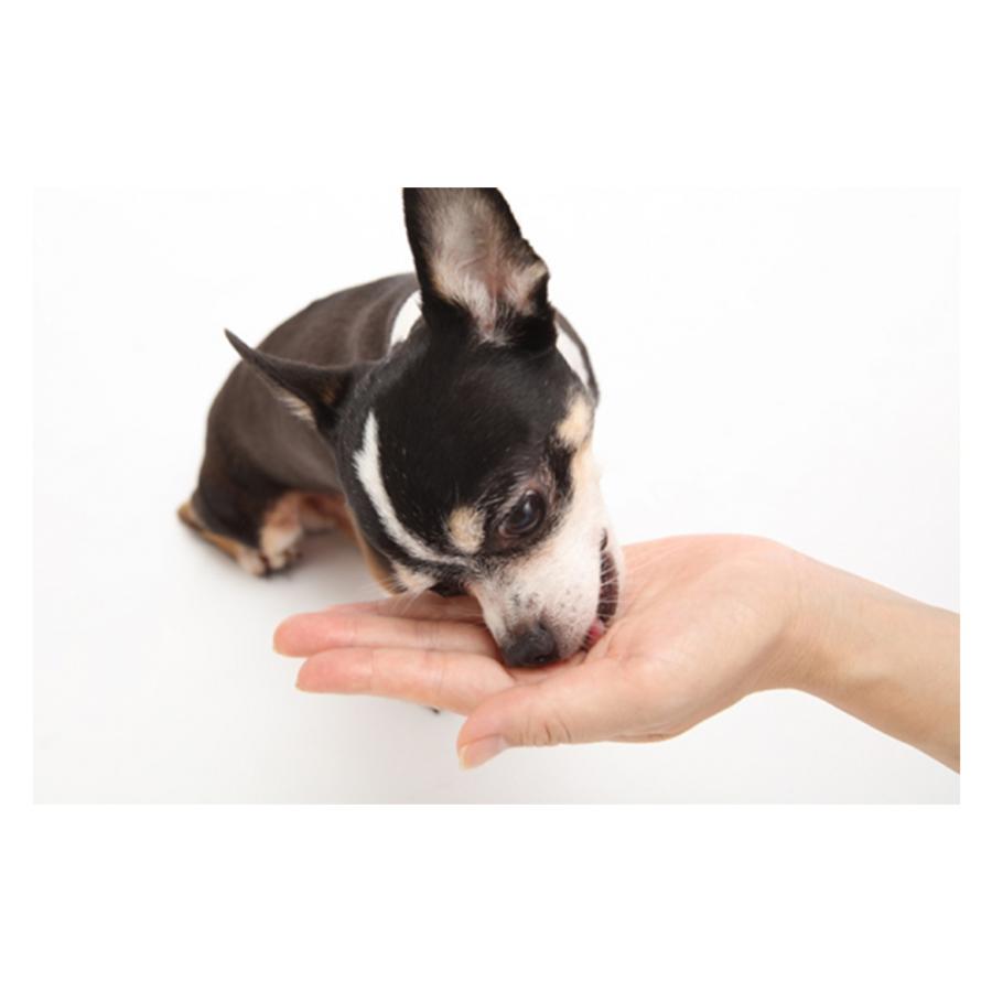 MEDIBALL メディボール ささみ味 犬用 15個入 :4560191493723:ペットゴー ヤフー店 - 通販 - Yahoo!ショッピング MEDIBALL メディボール ささみ味 犬用 15個入 :4560191493723:ペットゴー ヤフー店 - 通販 - Yahoo!ショッピング