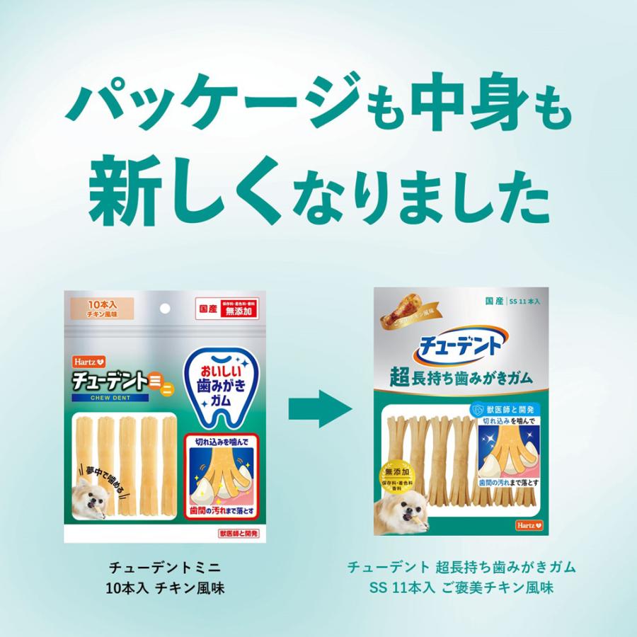 ハーツ チューデント 超長持ち歯みがきガム SS 11本入 ご褒美 ハーツ チューデント 超長持ち歯みがきガム SS 11本入 ご褒美