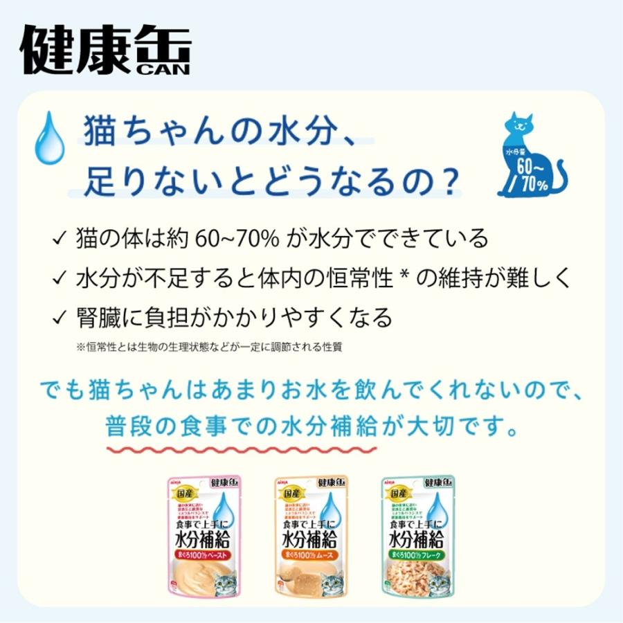 国産 健康缶パウチ 水分補給 まぐろペースト 40g×12袋【まとめ買い
