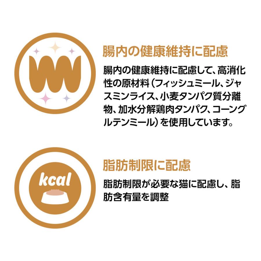 ベッツワンベテリナリー 猫用 消化器ケア 可溶性繊維 フィッシュ 2kg