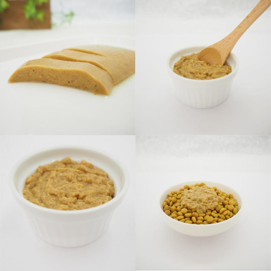 ベッツワンベテリナリー猫用腎臓ケアチキン ウェット パウチ 85g×12 4箱 ベッツワンベテリナリー 猫用 腎臓ケア チキン ウェット パウチ 85g