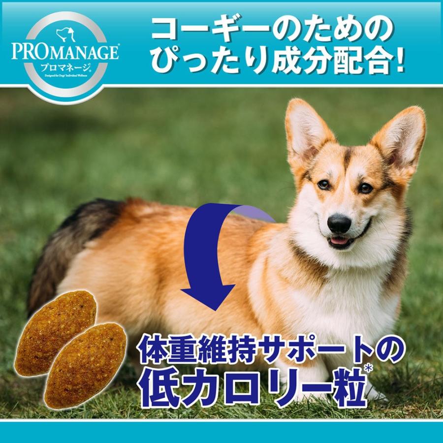MARS（ペット用品、食品） プロマネージ 成犬用 ウェルシュ