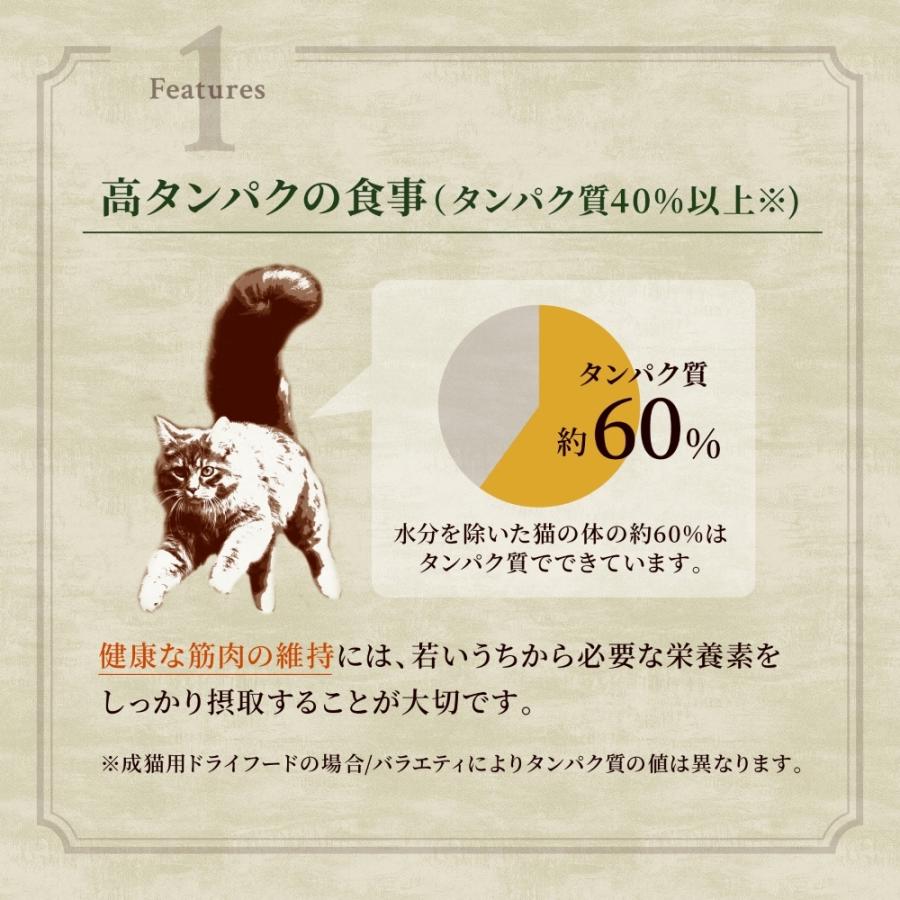 MARS ニュートロ ワイルドレシピ キャット フリーズドライプラス