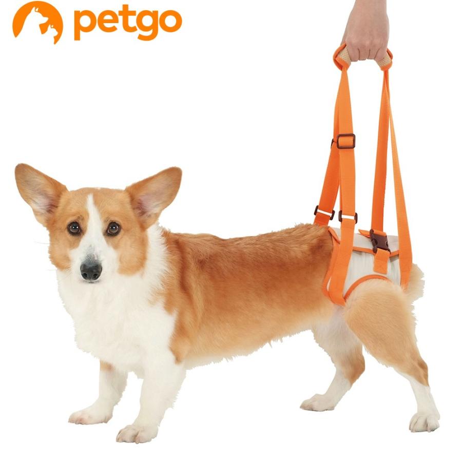 ペティオ zuttone(ずっとね) 老犬介護用 歩行補助ハーネス 後足用 L