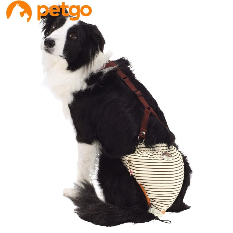 ペティオ zuttone(ずっとね) 老犬介護用 おむつパンツ 2L : ペットゴー