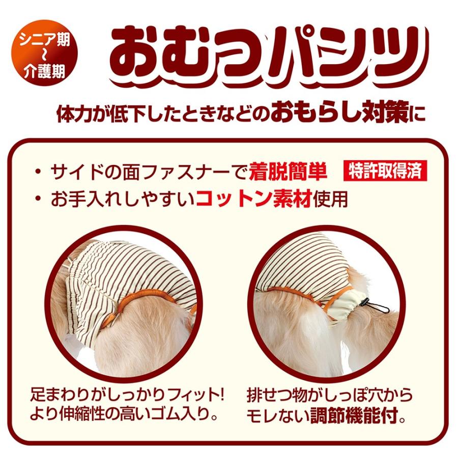 ペティオ zuttone(ずっとね) 老犬介護用 おむつパンツ 3L : ペットゴー