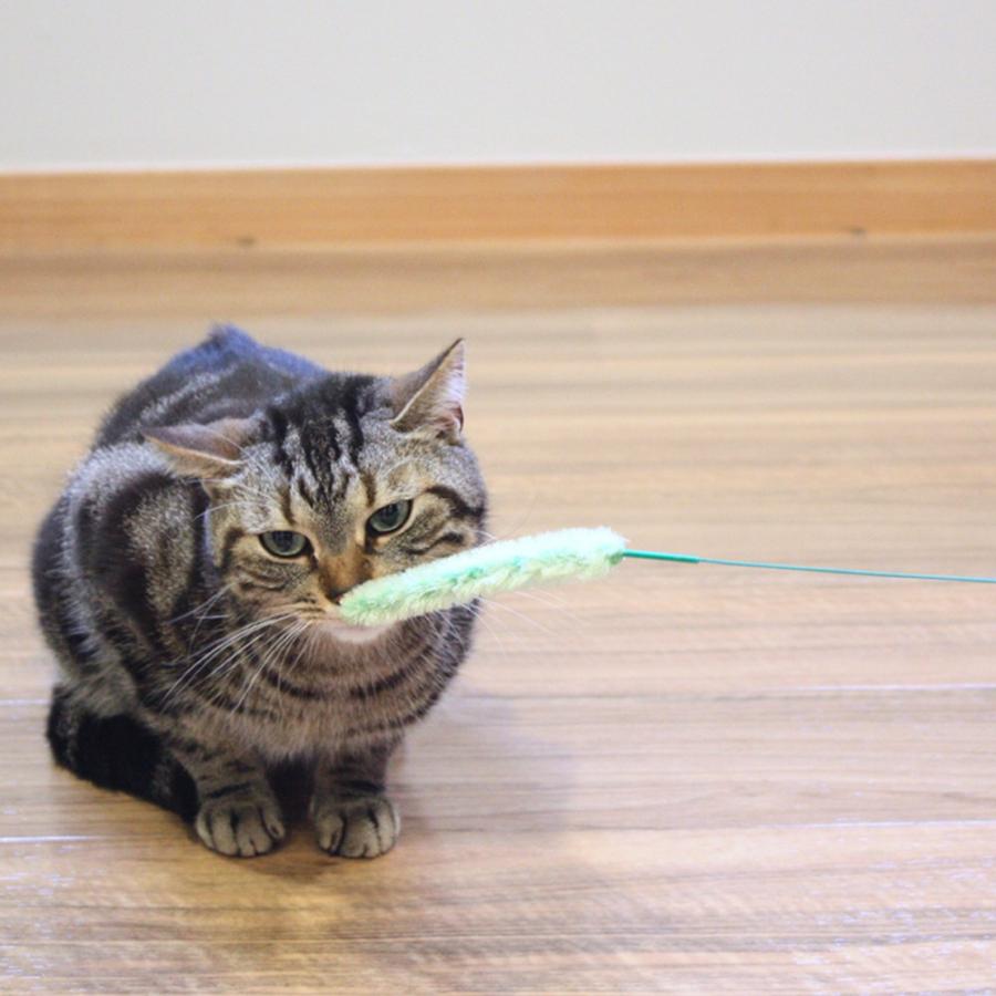 ドギーマン キャティーマン じゃれ猫 猫のお遊び草 2本セット