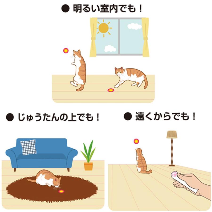 ドギーマン キャティーマン じゃれ猫 レーザーニャンだろ