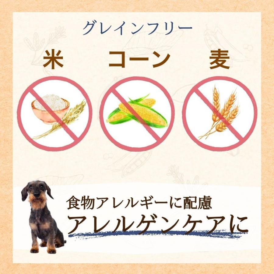 ファーストチョイス ChoiceS アレルゲンケアに成犬1歳以上 2.4kg
