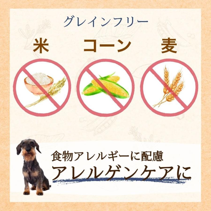 ファーストチョイス　グレインフリー　アレルゲンケア7歳以上2.4kg×4個セット ファーストチョイス ChoiceS アレルゲンケアに高齢犬7歳以上 2.4