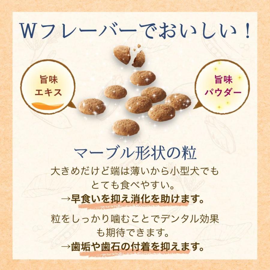 ファーストチョイス ChoiceS アレルゲンケアに高齢犬7歳以上 2.4kg