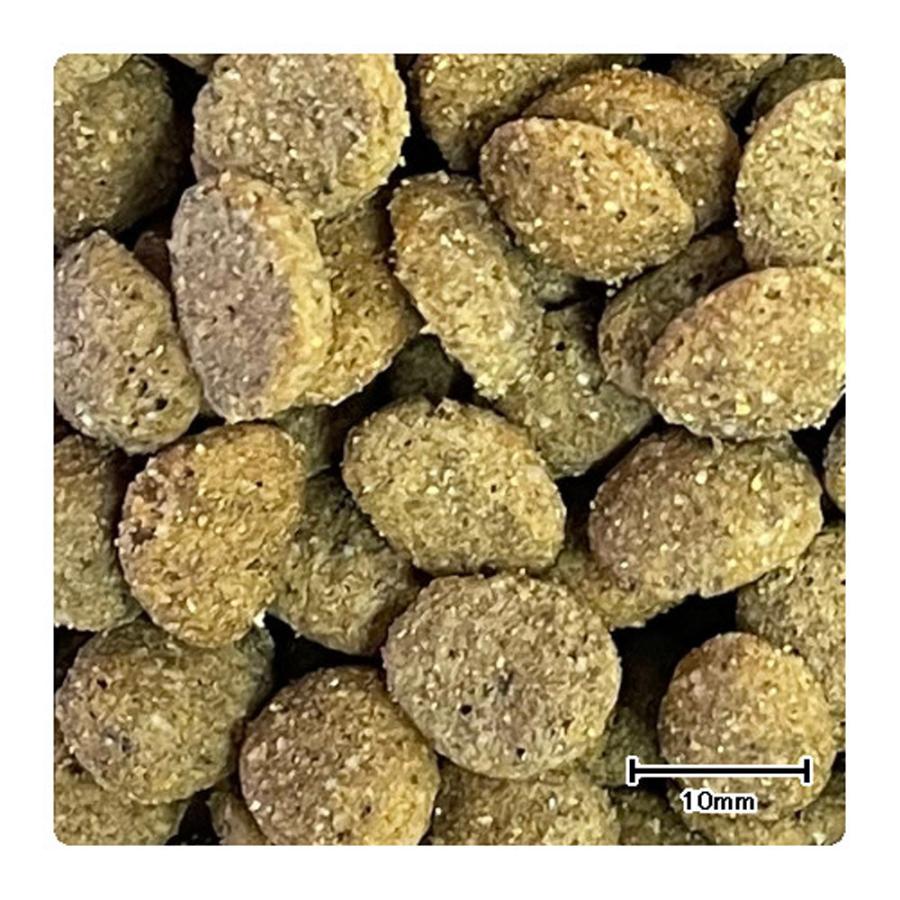 スペシフィック 犬用 CID 消化器アシスト ドライ 2kg : ペットゴー