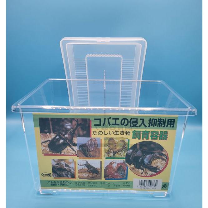ムチムチ【引退品】コバエ侵入抑制ケースセット 送料無料】コバエ侵入抑制 飼育ケース 小サイズ （仕切り付）225×150