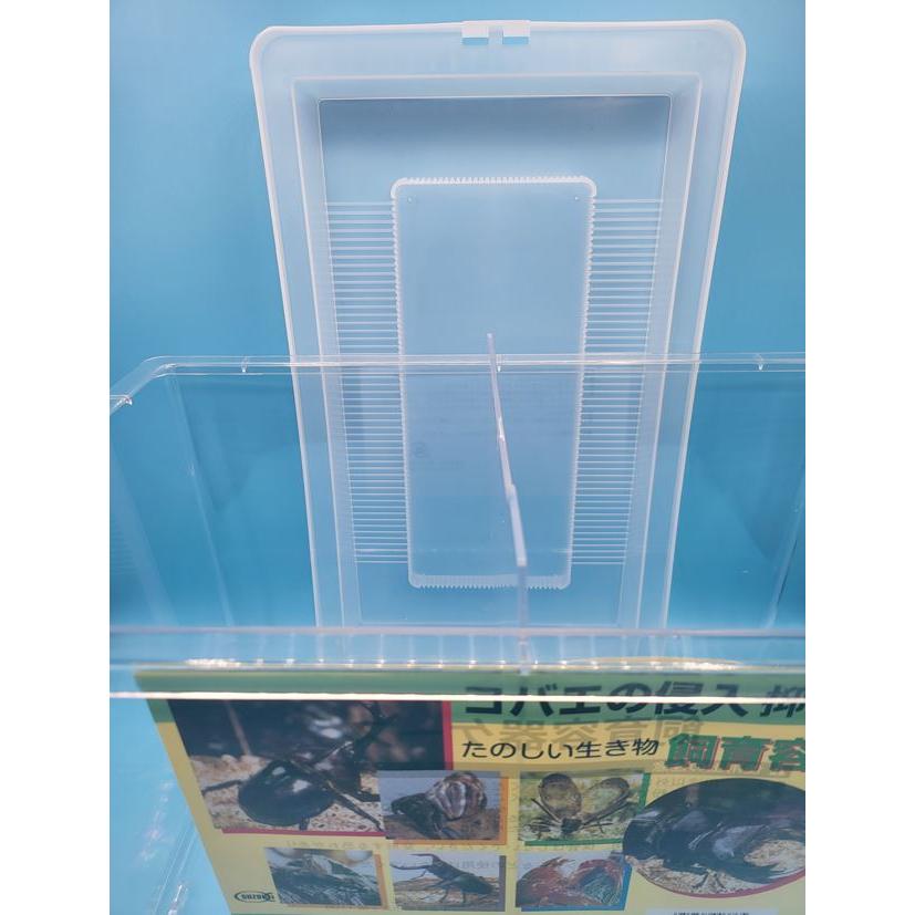 コバエ侵入抑制 飼育ケース 大サイズ （仕切り付）365×215×250 1個
