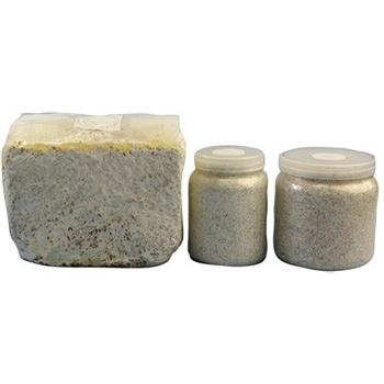 ＫＢファーム【カワラタケ菌床・クワガタムシ幼虫飼育用菌床・菌糸】ＫＢカワラＭＯクリア８００ｍｌ×２０本セット