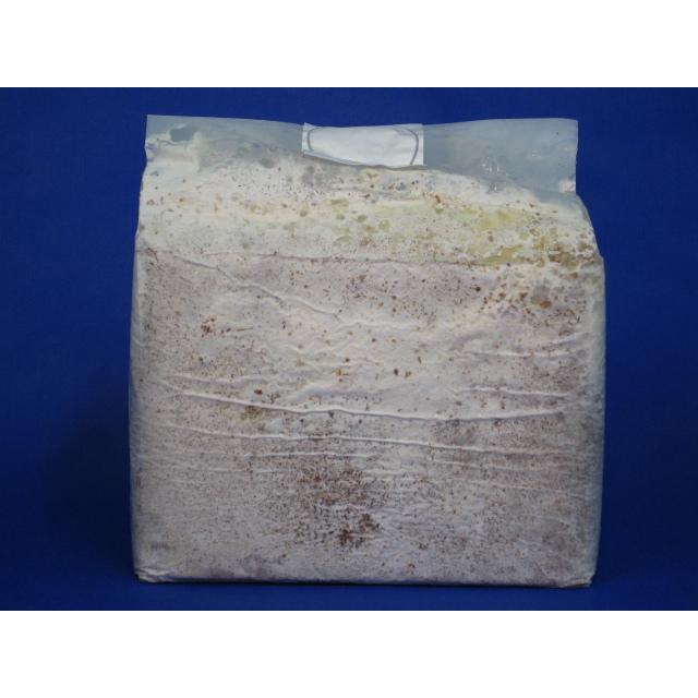 年末特価 カワラ菌糸ブロック 9個セット 【公式通販】